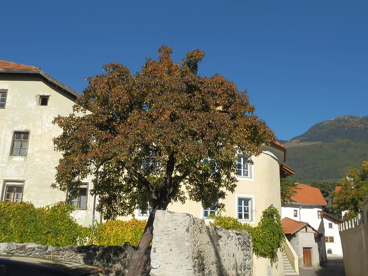 arbre, Castell, Tirol