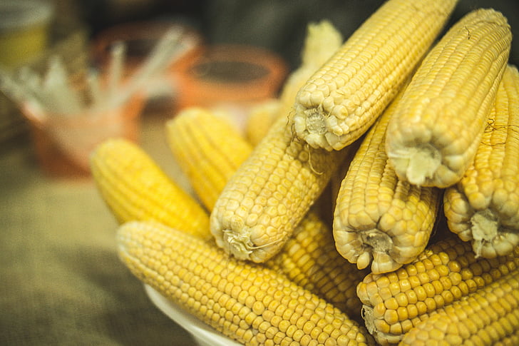 kukorica, bunkó, fél, Festa junina, élelmiszer, tenon, északkeleti