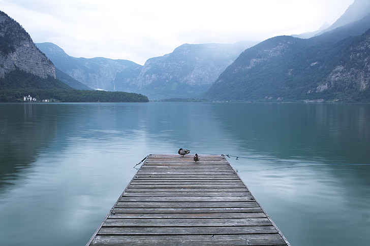 Hallstatt, Lake, chim bồ câu, Bridge, sông, đảo, tách biệt