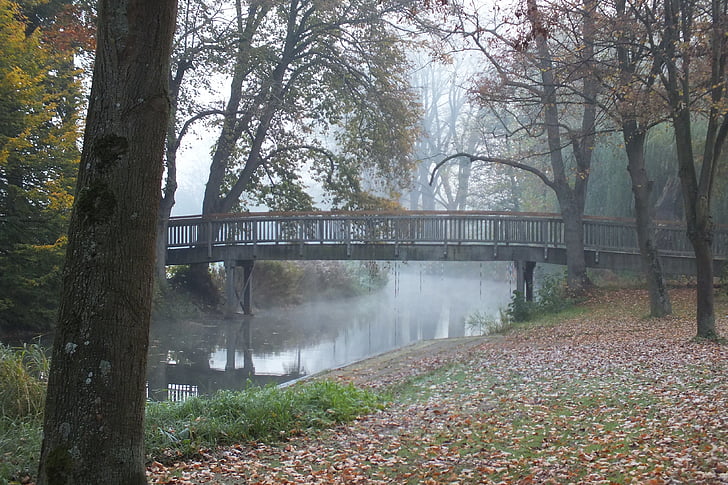 brug, november, mist, morgenstimmung, rivier, boom, natuur
