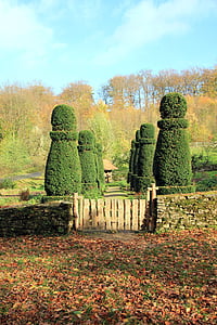 hedge, garden, goal, garden gate, fence, boxwood, decorative