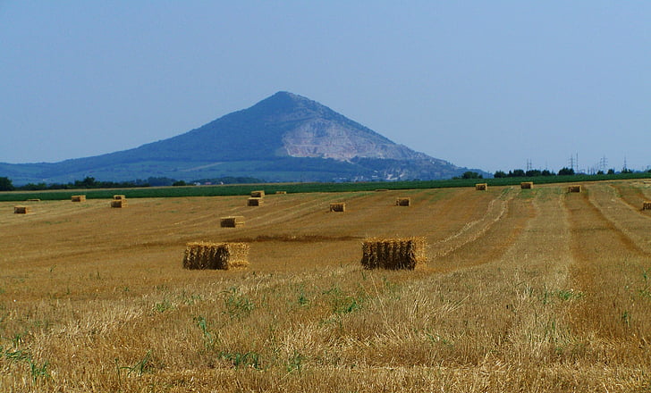 straw cubes, harvested wheat field, agriculture