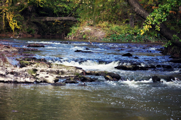 река, вода, на открито, околна среда, рок, мирни, пресни
