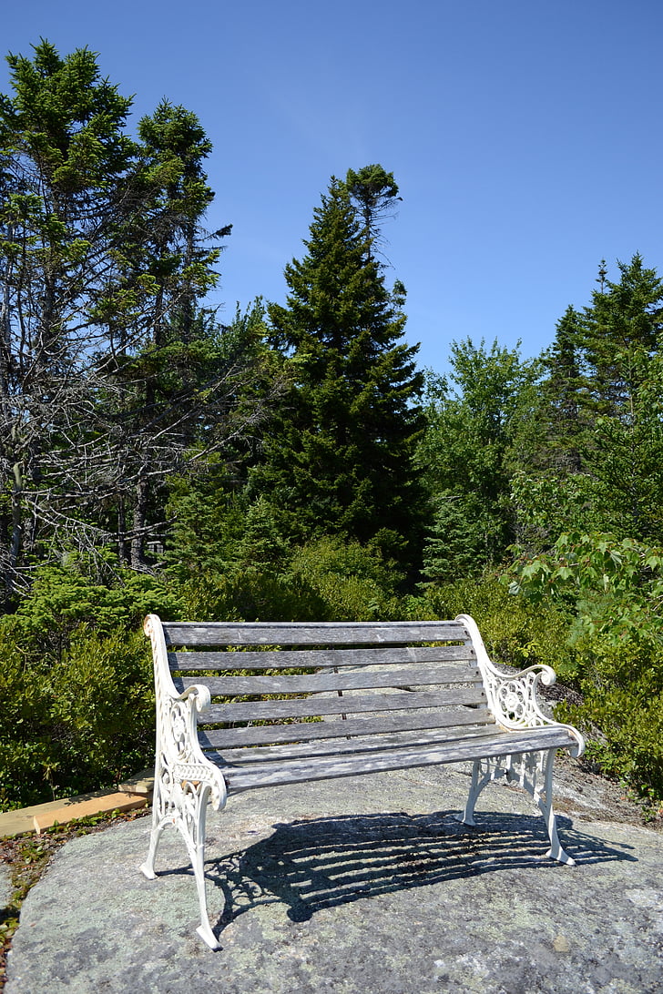 bench, rocks, forest, sky, blue, summer, wooden