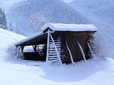зимни, бяло, hayrack, сняг, декември, природата, студено - температура