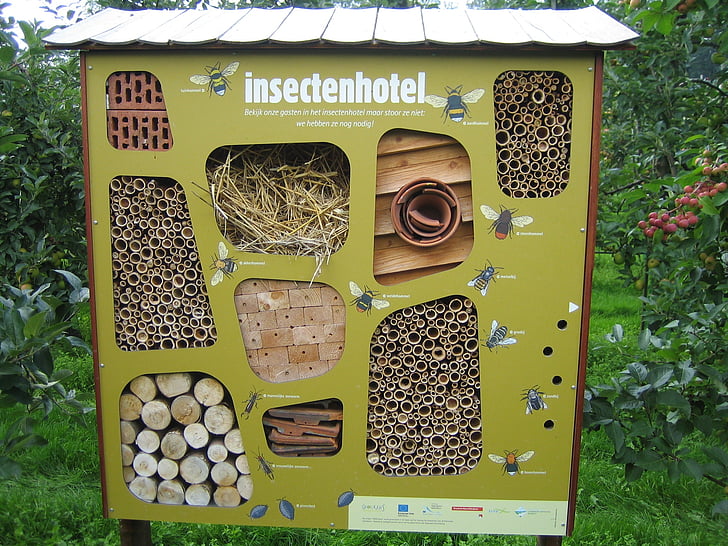 Hôtel des insectes, abeilles, nature
