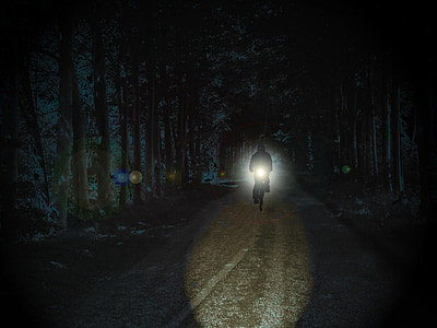велосипедисти, нощ, парк, странно, прожектор, светлина, далеч