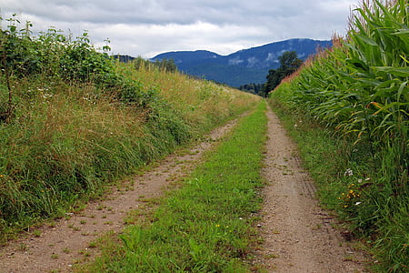 Lane, Prado, distancia, sendero natural, pista de tierra, manera comercial, naturaleza