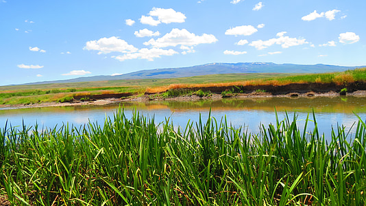 Reedy, våren, floden, te, Erzurum, naturen, landskap