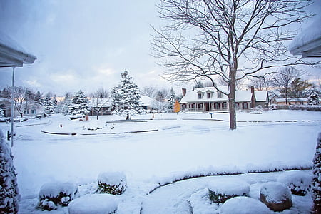 luminen neighborhood, talvi, Neighborhood, lumi, kylmä, kausi, valkoinen
