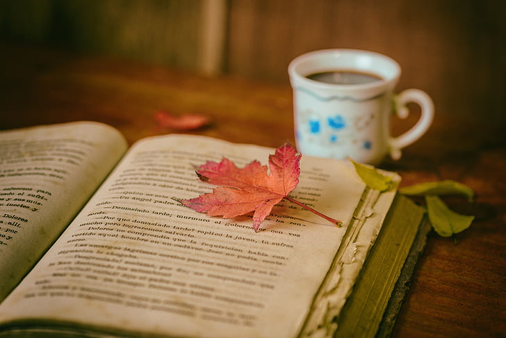 φύλλα, βιβλία, χρώμα, καφέ, Κύπελλο, Νεκρή φύση, το βιβλίο