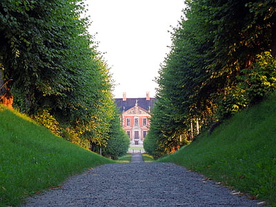 Avenue, Hanson, copac aliniat avenue, rând de arbori, copaci, Germania, Castelul