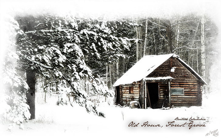Log, kabine, hus, gamle, vinter, Forest grove, British columbia