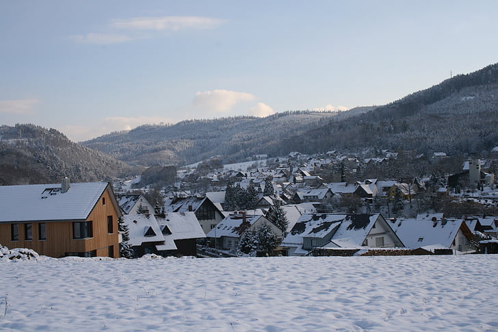Kış, Almanya, manzara