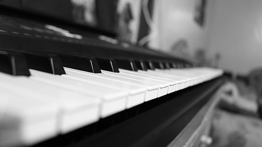 acoustic, black-and-white, classic, classical music, close-up, harmony, instrument