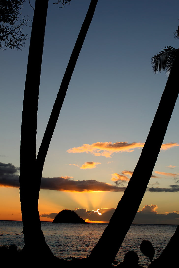 beach, island, landscape, palm trees, silhouettes, sky, sunset