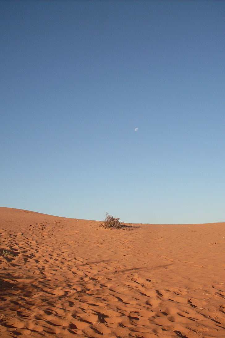 เนินทรายสีแดง, ตอนเย็น, ออสเตรเลีย, ทะเลทราย, เนินทราย, ทราย, แห้ง