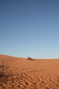 Rode duinen, avond, Australië, woestijn, uitzichtpunt, zand, droog