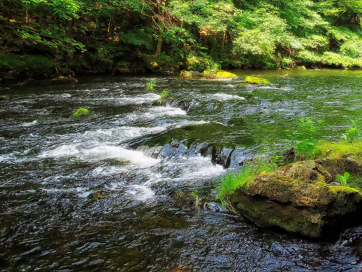 germany, stream, river, water, rapines, nature, outside