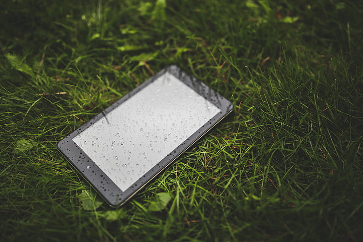 gräs, gräsmatta, regn, smartphone, tablett, teknik, våt