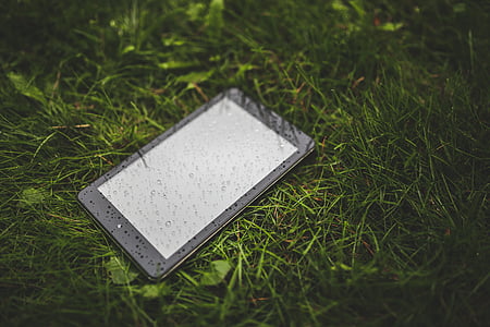 трева, тревата, дъжд, смартфон, таблет, технология, мокър
