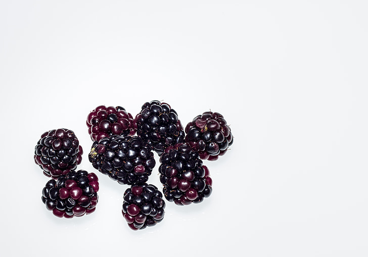 bogyó, gyümölcs, BlackBerry, érett, természetes, finom