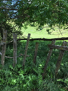 cerca, Parque, fazenda, ao ar livre, grama, madeira, verde