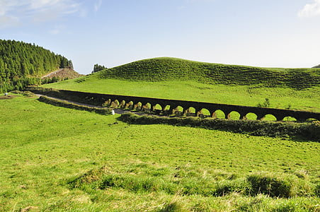 Açores, île, vert, pâturage, paysage, été, aqueduc