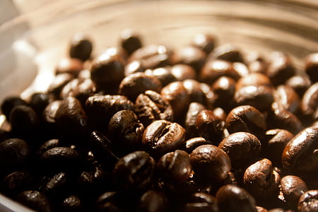 café, grãos de café, assado, aroma, marrom, cafeína, café expresso