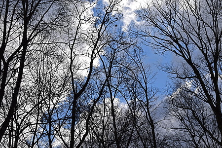 načechraný mraky, modrá obloha, mraky, krajina, Příroda, Cloudscape, nadýchané