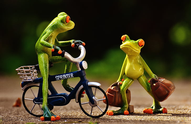 개구리, 도착, 자전거, holdall, 여행, 귀여운, 개구리
