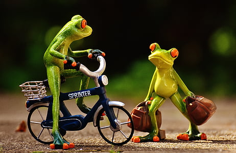 con ếch, đến nơi, xe đạp, holdall, đi du lịch, Dễ thương, ếch