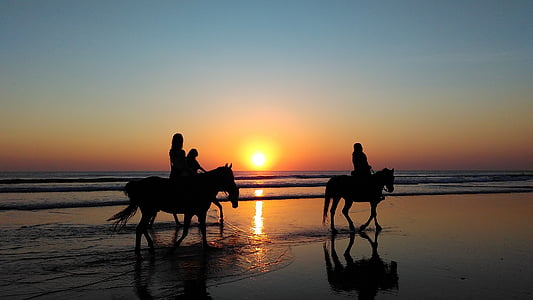 dyr, stranden, kveld, jenter, hester, hav, riding