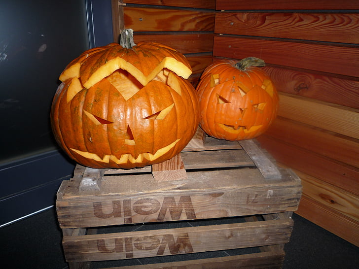 halloween, pumpkins autumn, orange