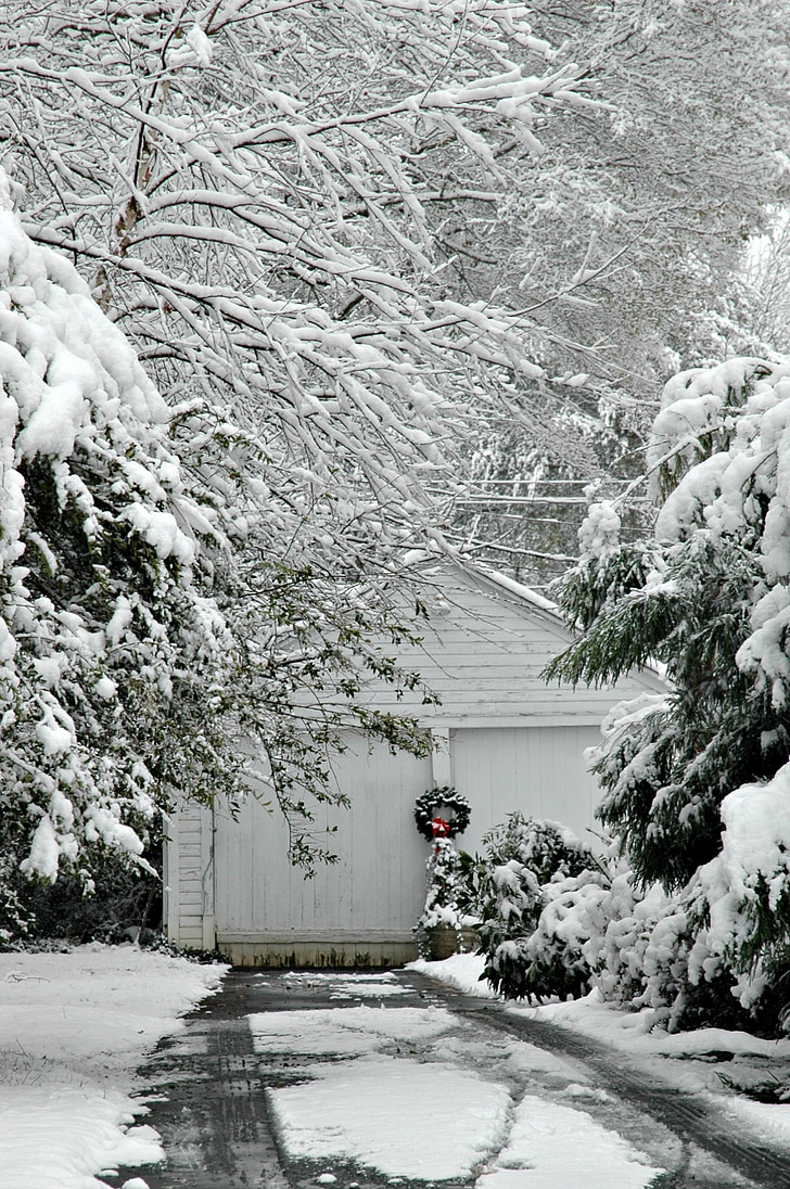 talvel, lumi, detsember, hooajaline, jõulud