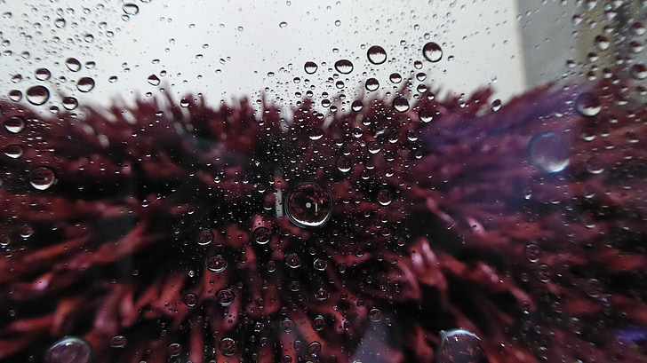 car wash, inside view, window, water, brushes, carwash, red