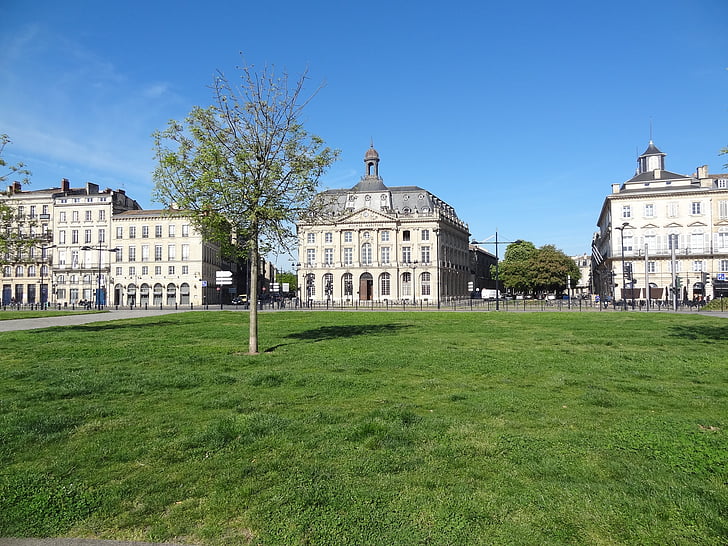 Bordeaux, nurmikko, sininen taivas, puut, Ranska, arkkitehtuuri, kuuluisa place