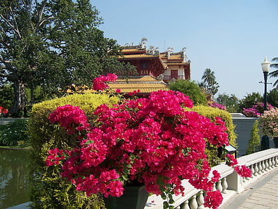 fleurs, Parc, Thaïlande