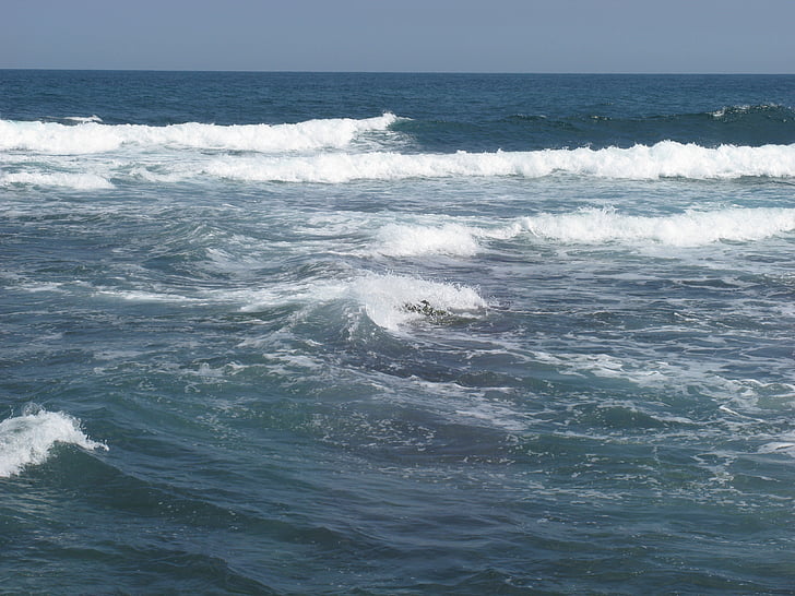 gelombang, musim panas, surfing, gelombang, permukaan, Pantai, laut