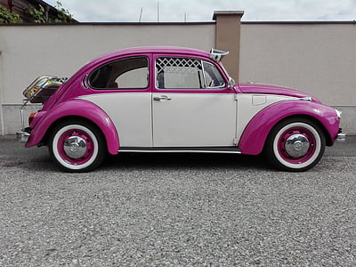 kumbang, pop, merah muda, VW, musim panas, warna-warni, mencolok