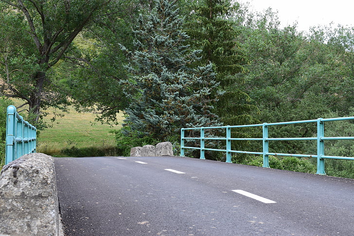 bridge, road, fence, green, forests