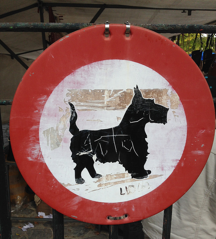 kelio ženklas, šuo, keista, juokingas, neįprastas, ženklas, gyvūnų