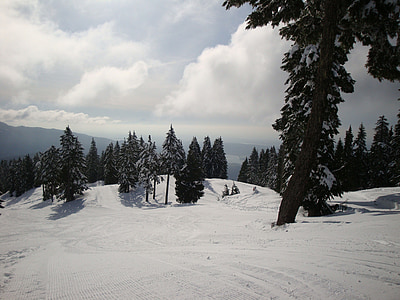 sne, Ski hill, Ski run, vinter, vintersport, natur, uden for