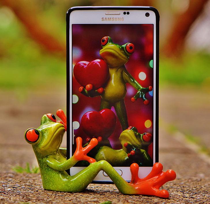 žaba, obrázok, mobilný telefón, smartphone, držiteľ, smiešny, milý