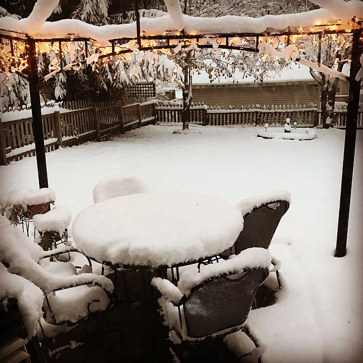 sneh, Backyard, svetlo, zimné, za studena, biela, Príroda
