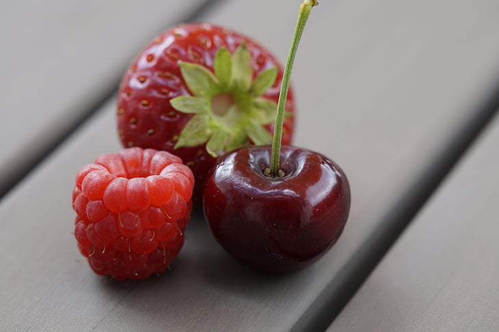 puu, marjad, punane, Berry red, puuviljad, Frisch, maitsev