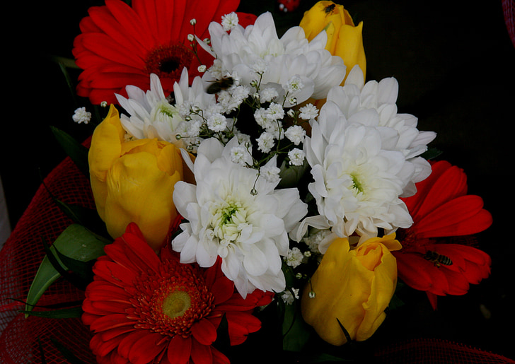 kvety, sfarbenie, Kytica