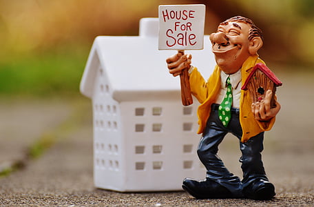 Immobilien-Makler, nach Hause, zu verkaufen, lustig, Voliere, Abbildung, Spaß