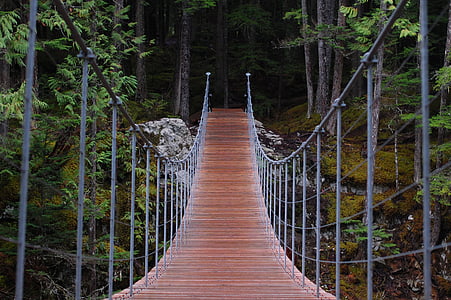 tiltas, žygis, kietas, miško, ne žmonės, lauke, tiltas - vyras padarė struktūra