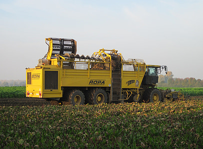 harvest, machine, field, agriculture, combine, industry, sugar beets